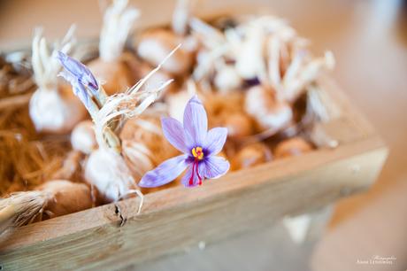 Panna cotta onctueuse renversée façon Kulfi et au safran bio Biâo de Normandie ! Panna cotta onctueuse renversée façon Kulfi et au safran bio Biâo de Normandie !