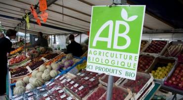 Pétition : les Français se mobilisent pour imposer une TVA à taux réduit pour les produits bio Pétition : les Français se mobilisent pour imposer une TVA à taux réduit pour les produits bio