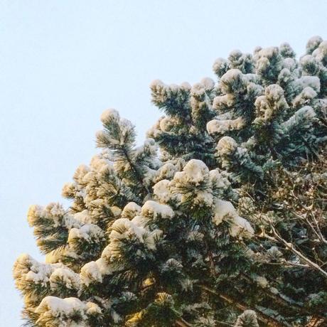 Notre fin d’année à Montréal Notre fin d’année à Montréal