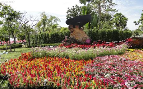 Udon-Thani , Horloge a fleurs et prolifération de canards