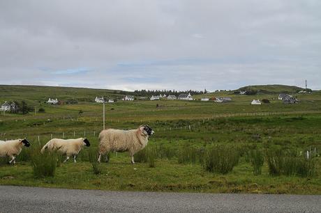 Road trip en Ecosse, étape 4 : L'île de Skye