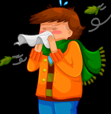 les incontournables de l'hiver les incontournables de l'hiver