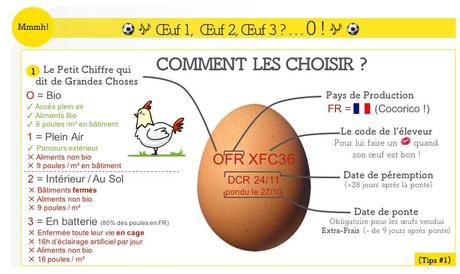 Mmmh – Votre conseiller culinaire Mmmh-comment-choisir-ces-oeufs