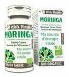 Les bienfaits du Moringa Le moringa et le camu camu comme source d'énergie