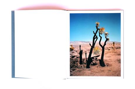 GREGORY HALPERN – ZZYZX GREGORY HALPERN – ZZYZX