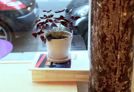 A la découverte du café zen « Amami »