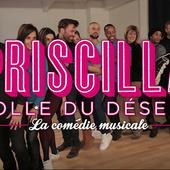 Priscilla la comédie musicale - Priscilla la comédie musicale