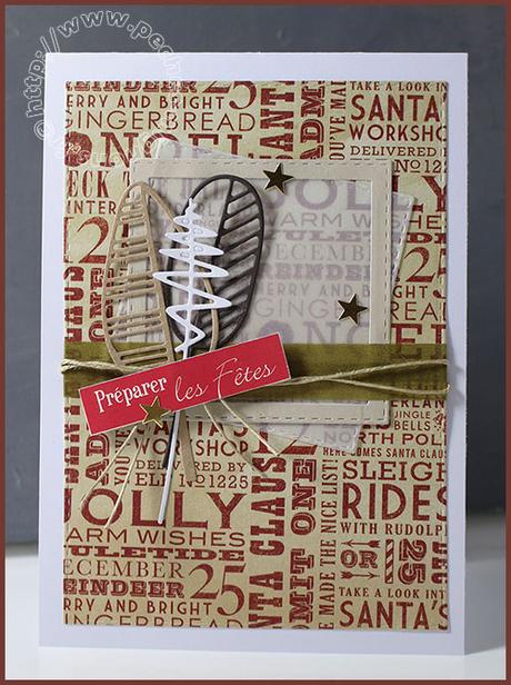 Une nouvelle série de fin d’année… IMG_49281