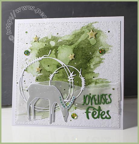 Une nouvelle série de fin d’année… IMG_48881