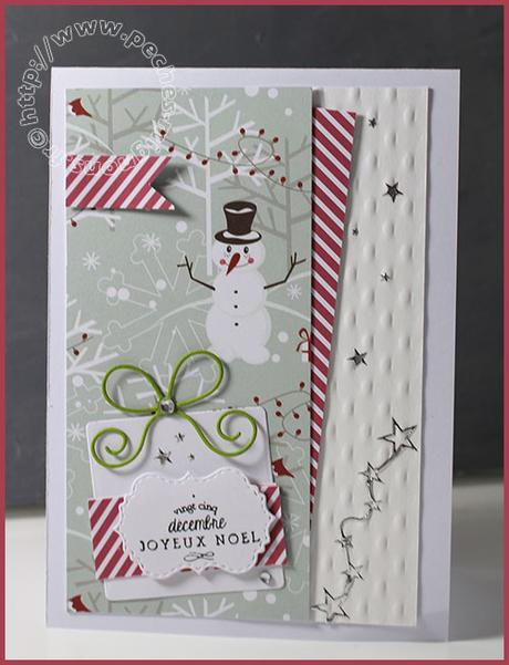 Une nouvelle série de fin d’année… IMG_48841