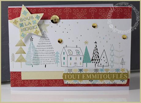 Une nouvelle série de fin d’année… IMG_49211