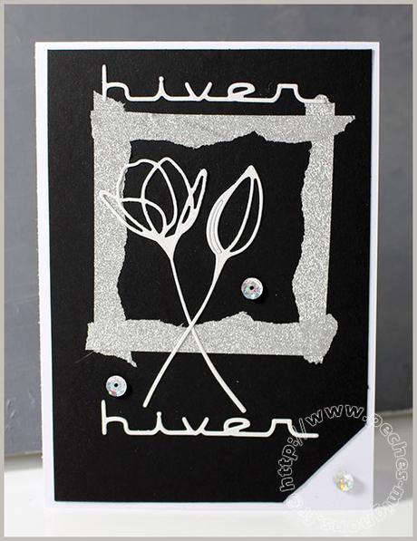 Une nouvelle série de fin d’année… IMG_47111