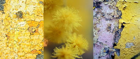 Très belle année 2017 Très belle année 2017