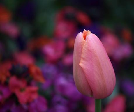 Taxe rose ou bleue, qu’en déduire ? blog-beaute-nantes-taxe-rose