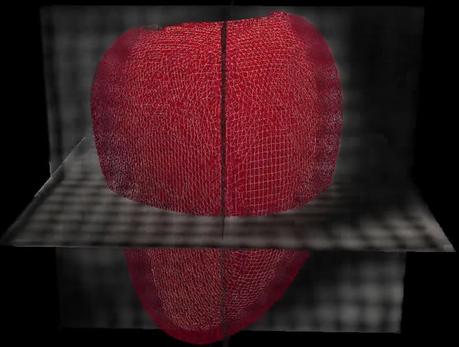 Cette intelligence artificielle est capable de prédire les arrêts cardiaques Cette intelligence artificielle est capable de prédire les arrêts cardiaques