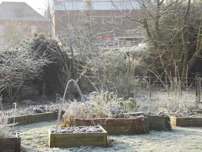 Le jardin en hiver