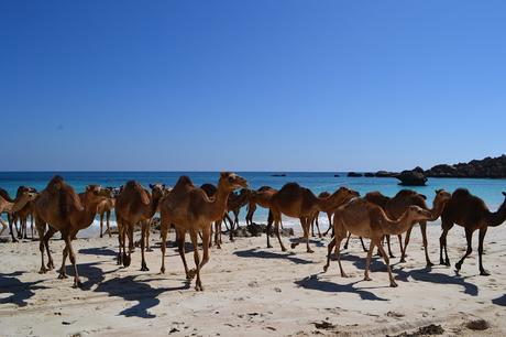 Part 2 : Voyage en Oman pour Mimi Guesdon et Laure Millot
