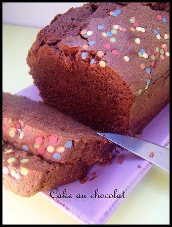 Cake au chocolat pour petite balade ensoleillée cakeochocolat