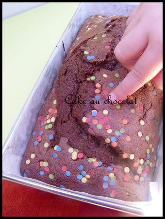 Cake au chocolat pour petite balade ensoleillée cakeochocolat1