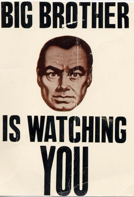LOPSI, Big Brother is watching you