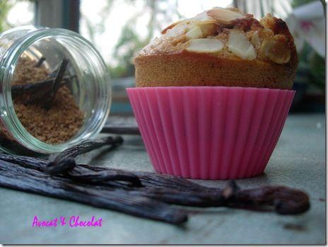 Muffins rustique vanille & cranberries (8)