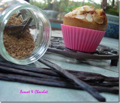 Muffins rustique vanille & cranberries (6)