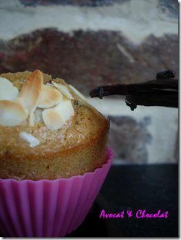 Muffins rustique vanille & cranberries (1)