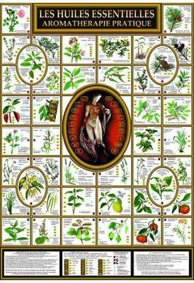 Mon tiroir d'huiles essentielles