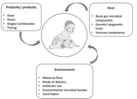 PEAU et MICROBIOTE : Prébiotiques, probiotiques, symbiotiques contre la dermatite ? – Pediatric Allergy, Immunology, and Pulmonology