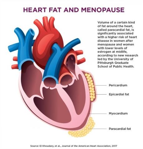 MÉNOPAUSE: Épi ou péricardique, chaque graisse cardiaque entraîne son risque – Journal of the American Heart Association