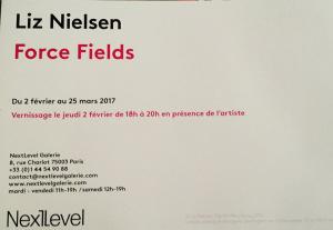 NextLevel Galerie  exposition LIZ NIELSEN  « Force Fields »