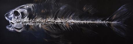 #ArtMTL Du sublime au LivArt Ozebia: An Almost Gone Fish, 2015