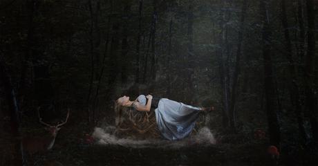 #ArtMTL Du sublime au LivArt Il était une fois… la belle au bois dormant, 2015