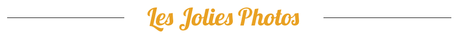 Pâtisseries & Cie, Pâtisseries Cie,