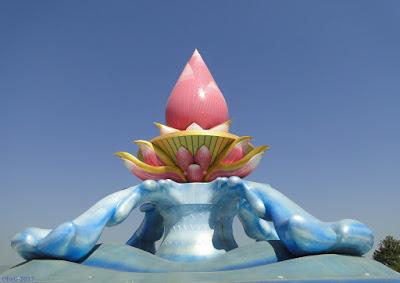 Lotus géant à Phon Phisai - Mekong