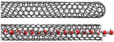 Illustration of a single-walled carbon nanotube filled with water