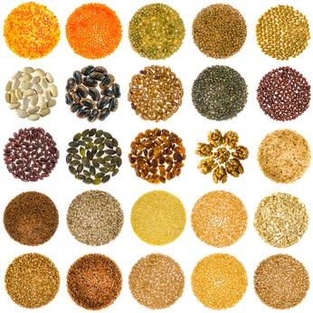 OBÉSITÉ : 200g de grains entiers par jour pour 2 kilos de moins par an – The American Journal of Clinical Nutrition