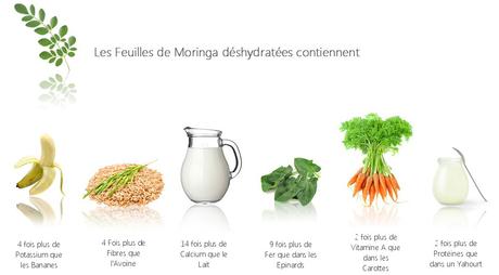 19 Avantages du Moringa pour une bonne santé moringa curcumine