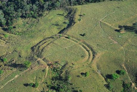 Des centaines de géoglyphes sous la forêt amazonienne