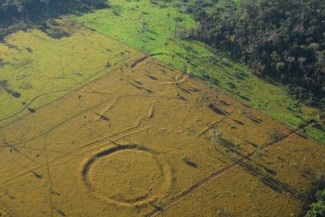 Des centaines de géoglyphes sous la forêt amazonienne