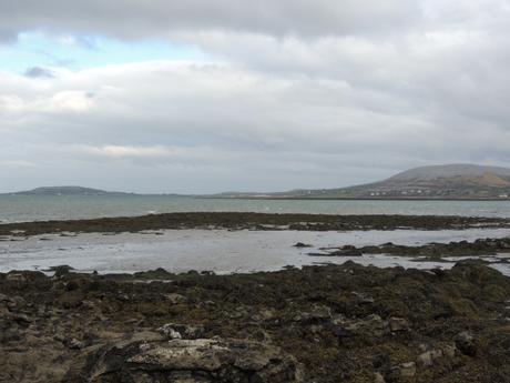 La petite jupe d’hiver La petite jupe d’hiver