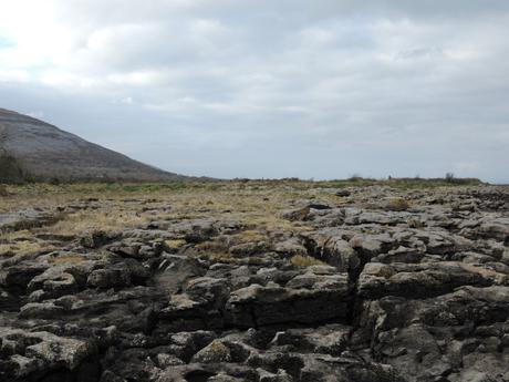 La petite jupe d’hiver La petite jupe d’hiver