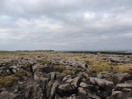 La petite jupe d’hiver La petite jupe d’hiver