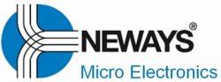 Analyse de Neways Electronics International