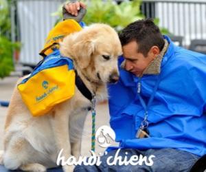 Carrefour aide l’association Handi’Chiens a éduquer des chiens d’assistance pour enfants handicapés