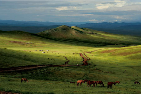 Mongolie : 