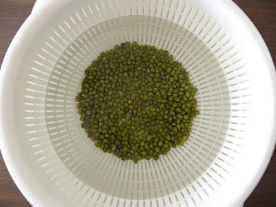 Les pousses de soja sont vraiment de soja ? Comment les faire pousser ?