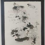 Cécile Pierre, Galerie La Source sigrist-pierre2