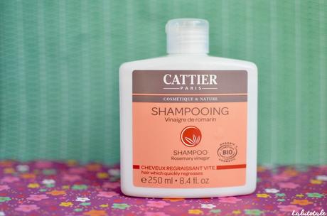 ( CATTIER ) Le vinaigre de romarin : assaisonnement de choix ou shampooing Bio miracle pour cheveux gras ?