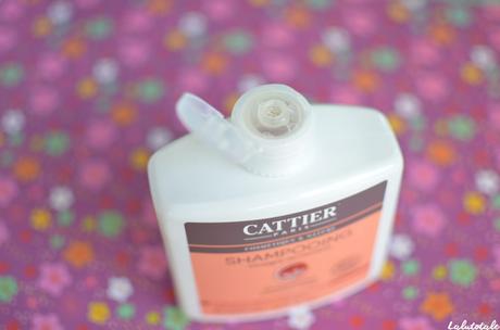 ( CATTIER ) Le vinaigre de romarin : assaisonnement de choix ou shampooing Bio miracle pour cheveux gras ? ( CATTIER ) Le vinaigre de romarin : assaisonnement de choix ou shampooing Bio miracle pour cheveux gras ?